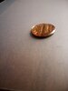 IMG_20210803_071402_654.jpg