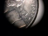 Obverse.jpg