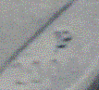 200dime.GIF