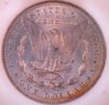 1889 Morgan NGC MS64 Rv Small.jpg