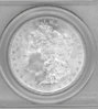 PCGS M64 obv original color.jpg