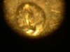 O over S mintmark.jpg
