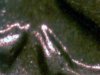 1942-D(DDO)pic(2).jpg