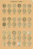 Roosie Page 1 front small.jpg