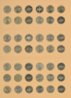 Roosie Page 3 back small.jpg