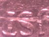 nickel short r 1.jpg