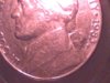 nickel tiny p.jpg