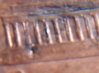 rear slot penny.JPG