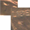 resize linsil.jpg