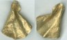gold coin.jpg