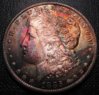 1885_O Toned2_obv.JPG