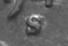 1944-S 1c mint mark.jpg