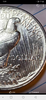 Screenshot_2021-07-31-22-01-51.png