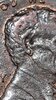 20210816_014713.jpg