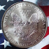 1996 ASE REV.jpg