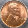 1929- PCGS O.JPG