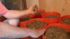 abc_penny_hoarding_shed_jef_111202_wg (1).jpg