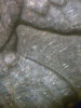 1982P Kennedy Missing Designer's Initials.jpg