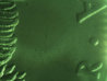 BL1.jpg