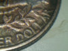 IMG00265-20111206-1636.jpg