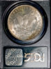 Morgandollar3.jpg
