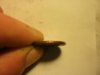 1968 weak strike rounded edge shrunk.jpg