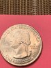 Salt River Bay ATB quarter - DOLL(A)R strike .jpg