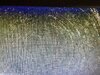 1EE2E84C-81AE-4E14-ABC6-AF1F7BEDF4FC.jpeg