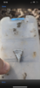 08DC4472-8057-4A2F-949A-F756E436BF58.png