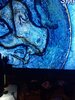 IMG_20210722_235945_1.jpg