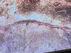 D0EEE56A-5359-4F2E-B477-B5A16B58C17E.jpeg