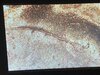 B1460121-BFA2-4747-AA66-8E922610C28E.jpeg
