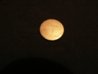 1967 Penny Back 1.jpg