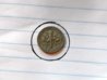 dime small.jpg