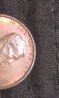 IMAG0499.jpg