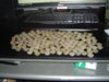 DSC00101.jpg