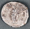 #7838 Roman Denarus, Severus2.jpg