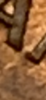 F636BD11-56DC-4B41-A9A1-C8E08470544C.png