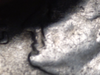 5b51c729-126f-49e8-b52f-eefd857e22af.png