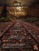 railroad tracks.jpg