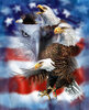 eagles-find-10.jpg