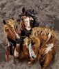 horses9.jpeg