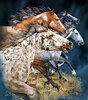 horses-find-13-blue.jpg