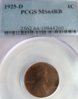 1925-D PCGS 64 SL.JPG