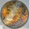 1880 s toned morgan obv.jpg