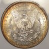 1880 s toned morgan, rev.jpg