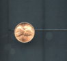 penny.jpg