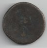 adrfiano 1200.jpg