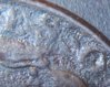 1809 half cent (6).JPG