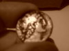 DSC00024.JPG